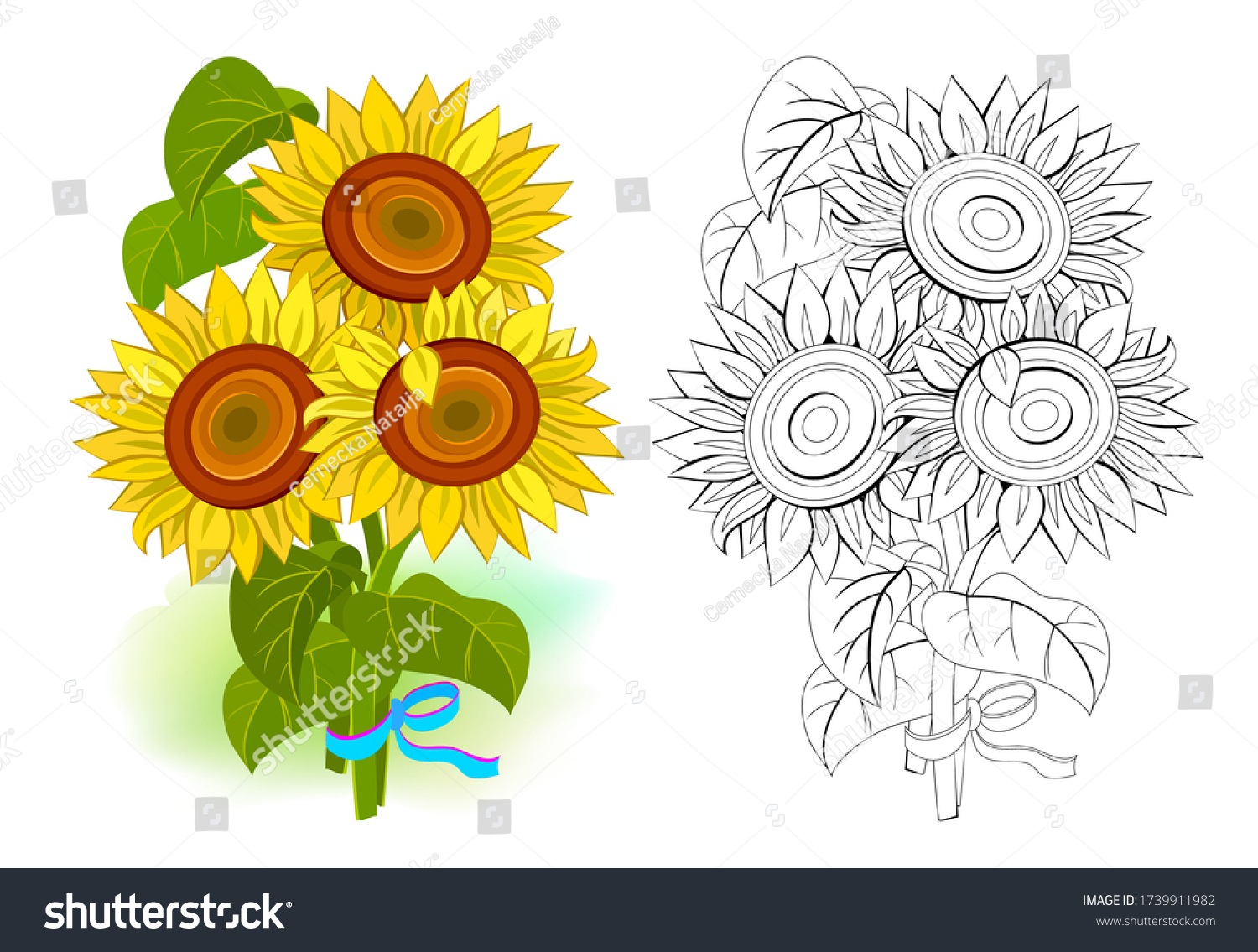 Colorful black white template coloring illustration stock vector royalty free