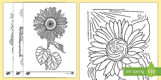 Sunflower template louring pages teacher made