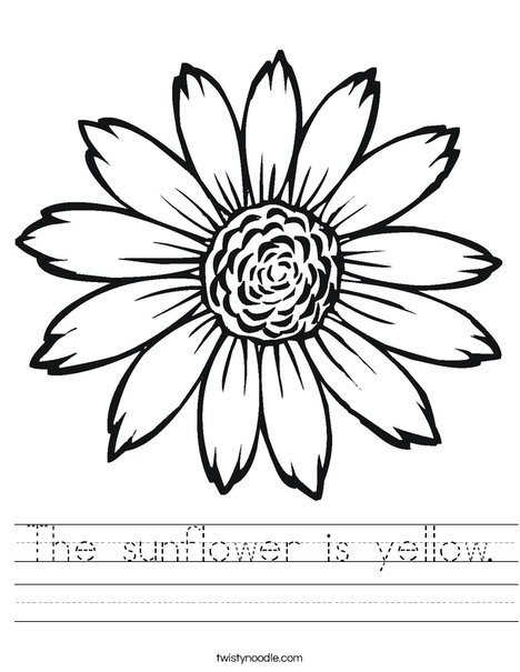 The sunflower is yellow worksheet
