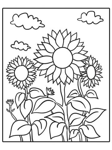 Big kids sunflower coloring pages kindergarten coloring pages summer coloring pages