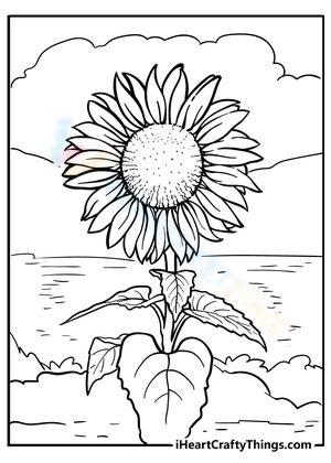 Free collection of sunflower coloring pages for kids