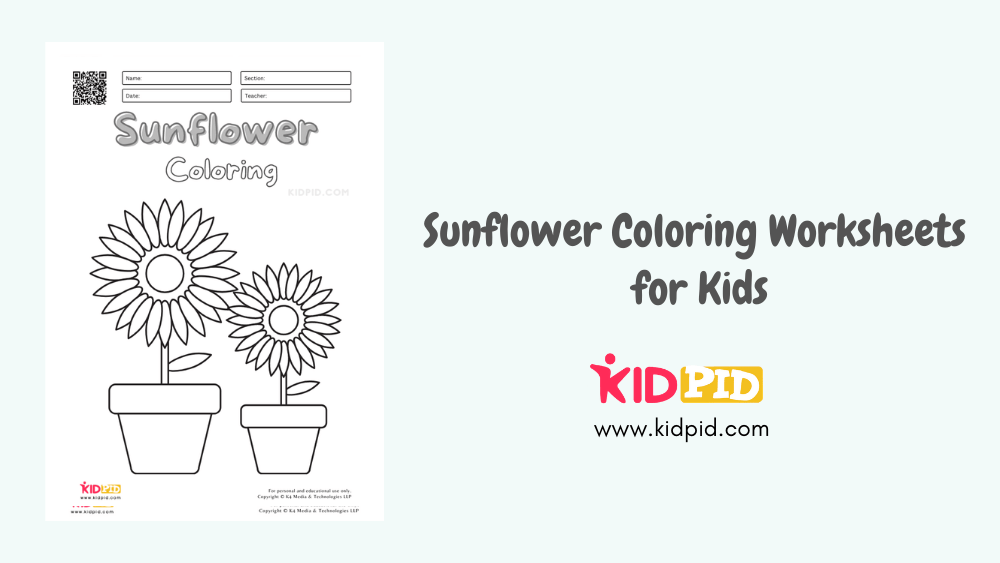 Sunflower coloring worksheets for kids