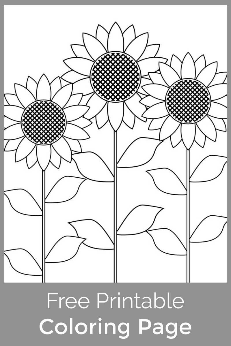 Free printable sunflower garden coloring page