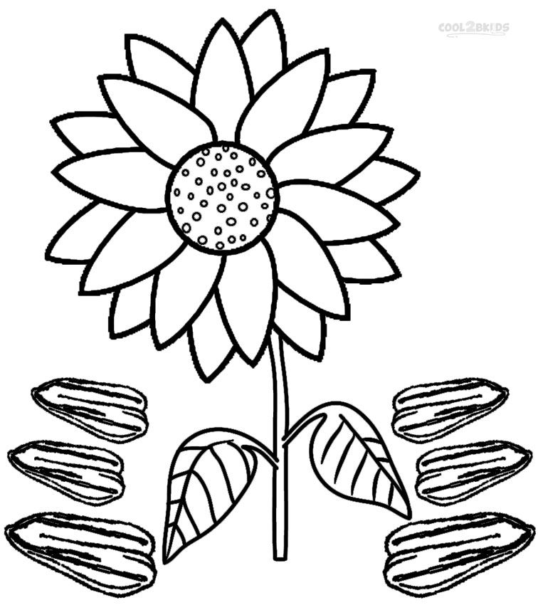 Printable sunflower coloring pages for kids coolbkids sunflower coloring pages fruit coloring pages coloring pages