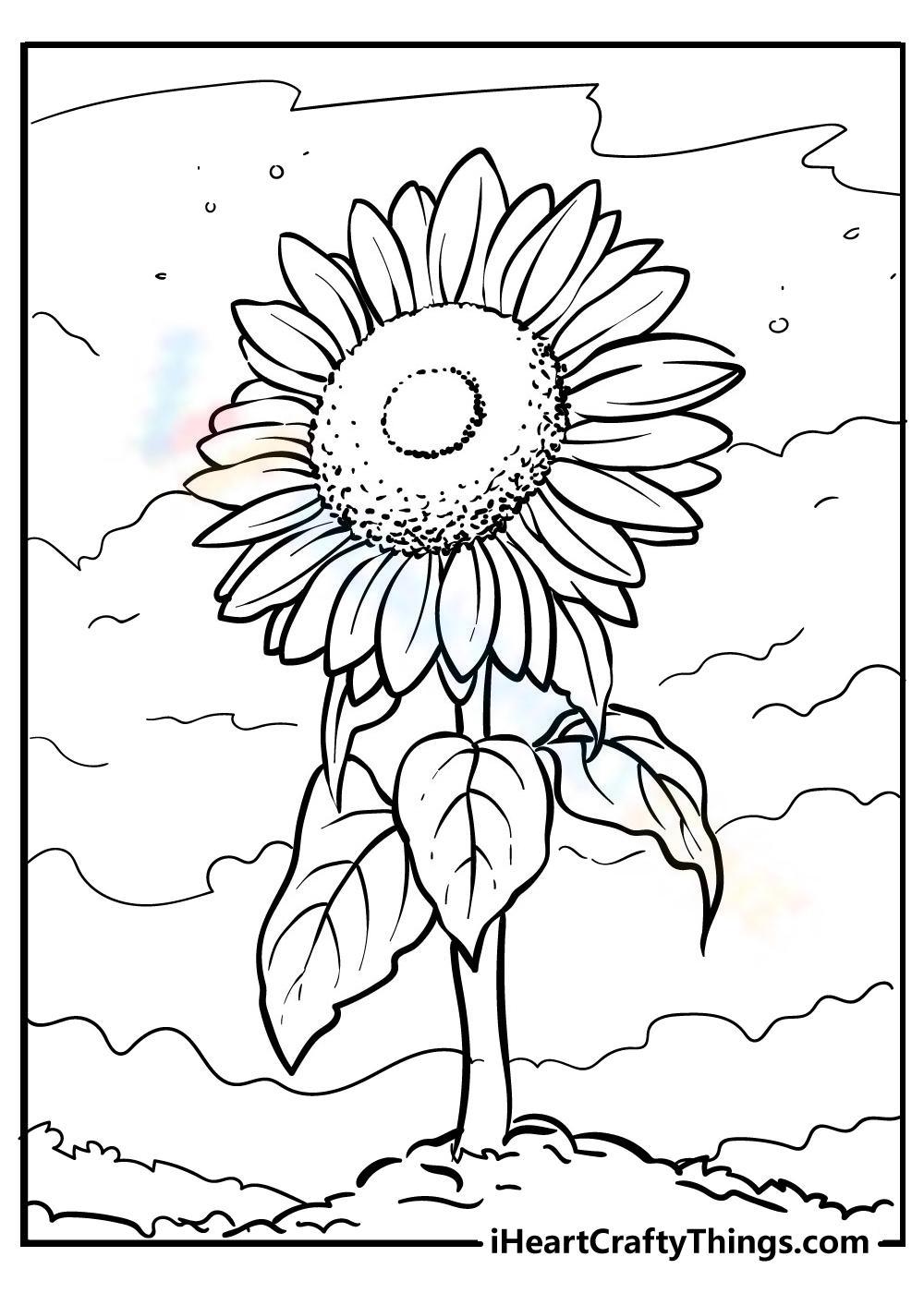 Lovely sunflower worksheet