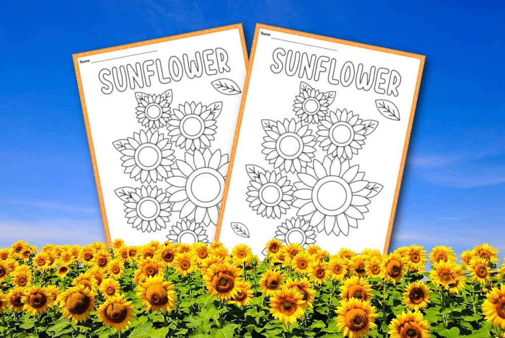 Printable sunflower coloring page