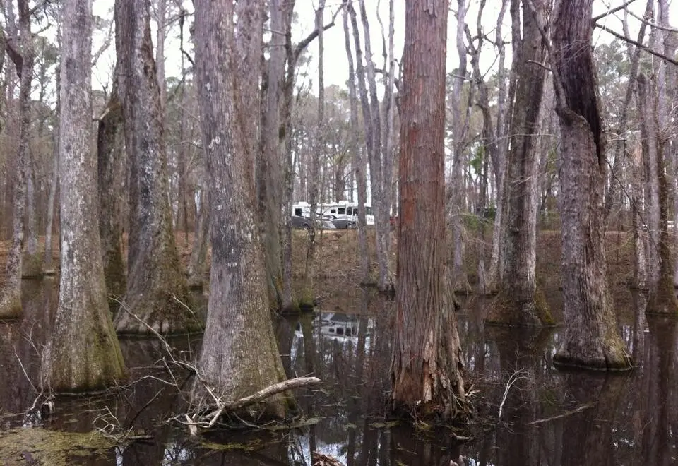 Natchez trace parkway guide from mile marker to