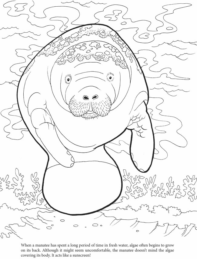 Wele to dover publications