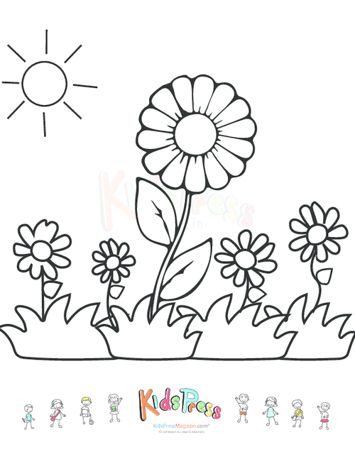 Flowers and sunshine