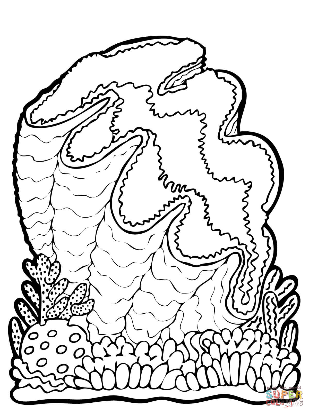 Giant clam coloring page free printable coloring pages