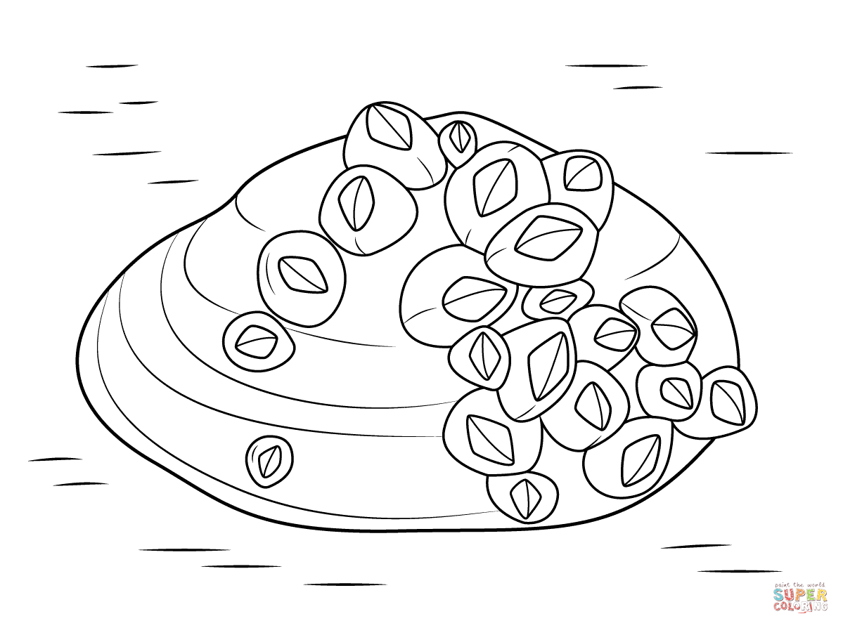 Barnacles on soft shell clam coloring page free printable coloring pages