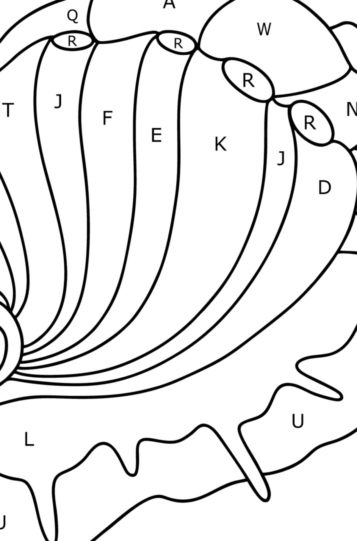 Mollusk abalone coloring page â online and print for free
