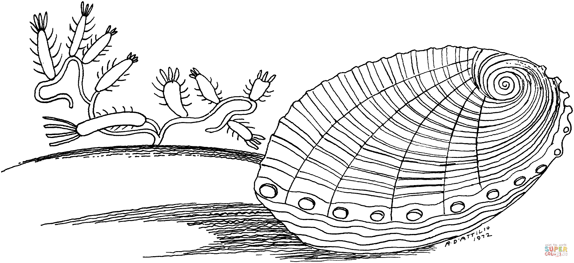Clam underwater coloring page free printable coloring pages coloring pages free printable coloring printable coloring pages