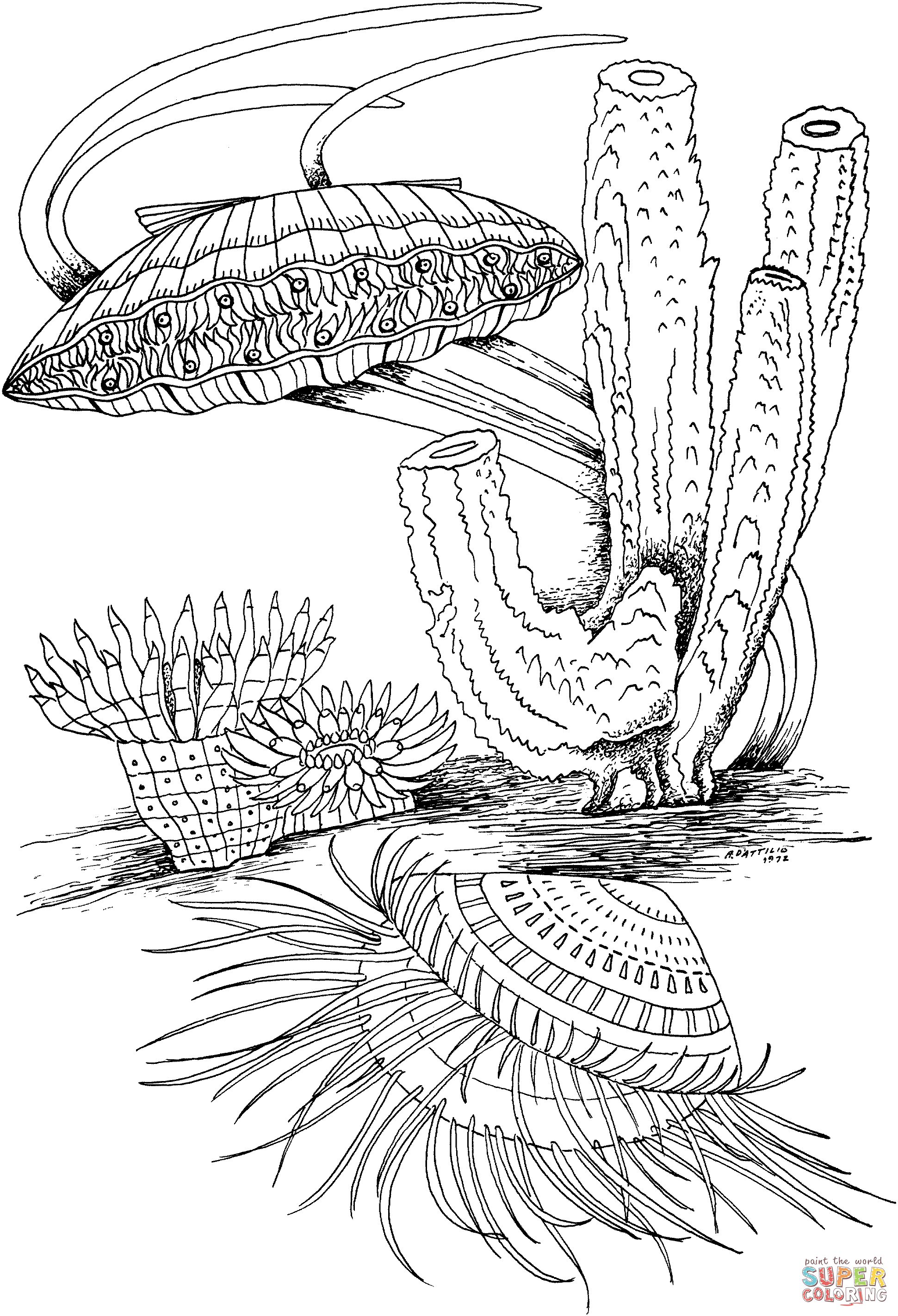 Clam shell and marine life coloring page free printable coloring pages