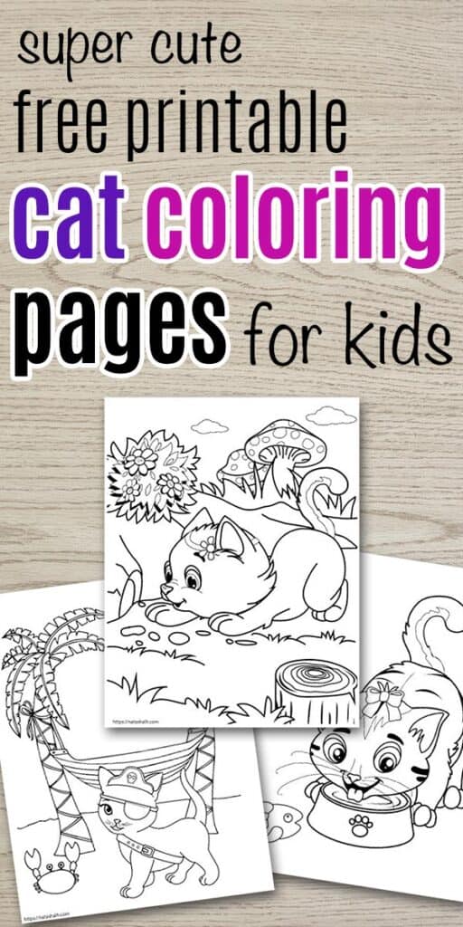 Super cute cat coloring pages easy no