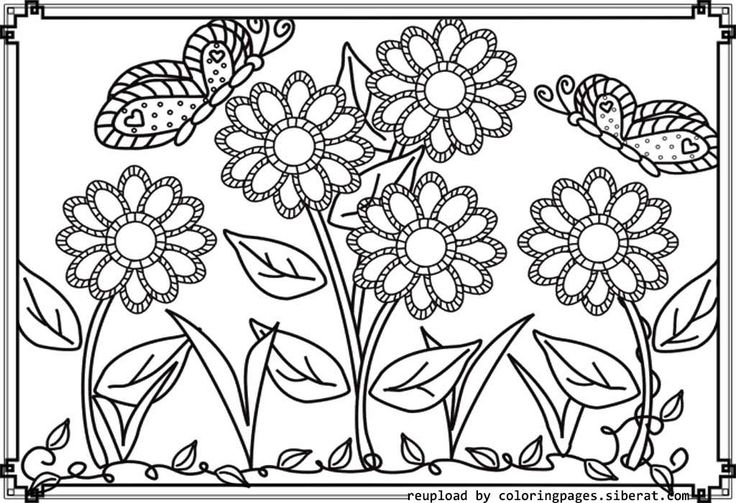 Flower garden colouring pages