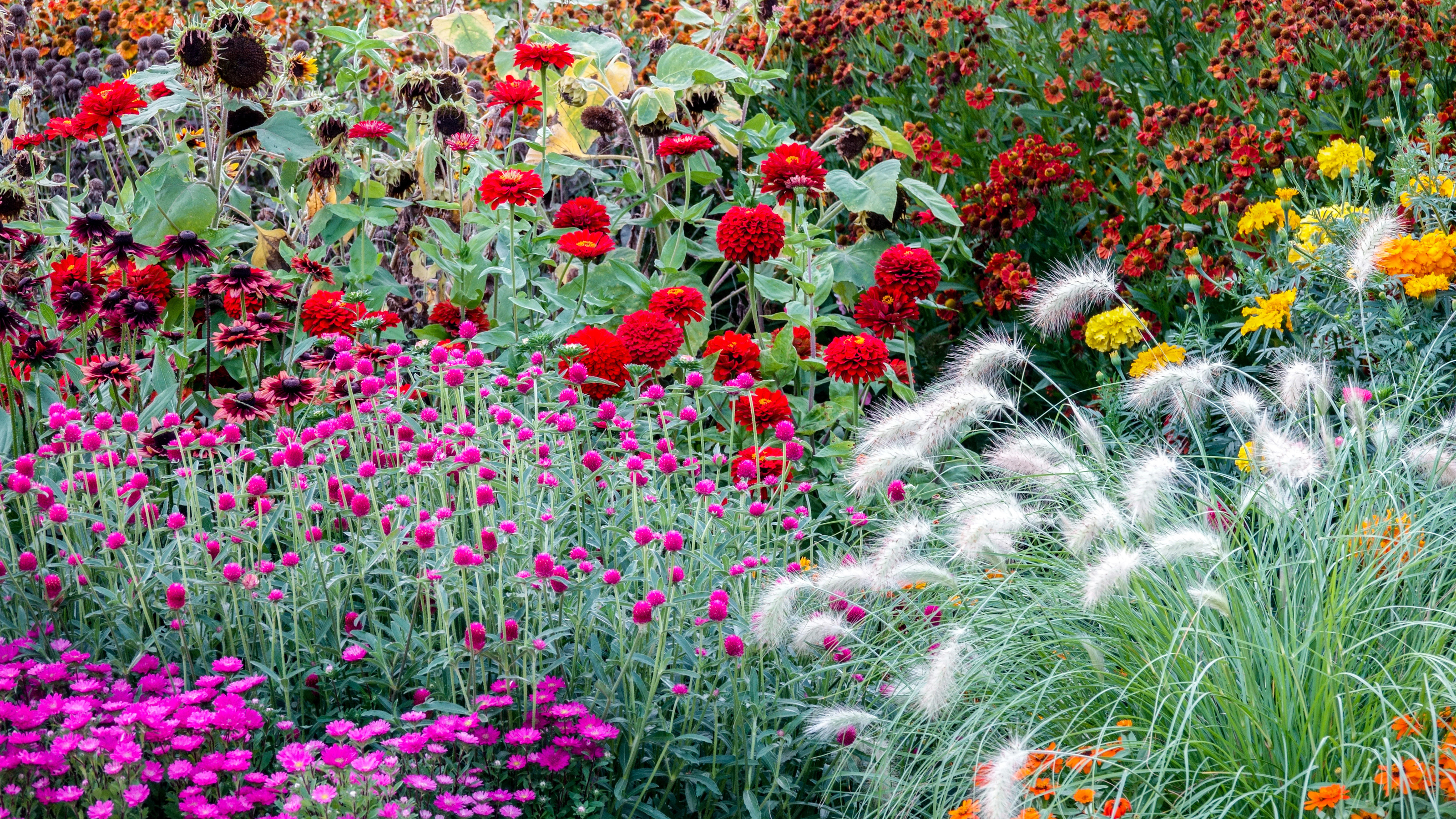 Flower bed ideas gorgeous budget