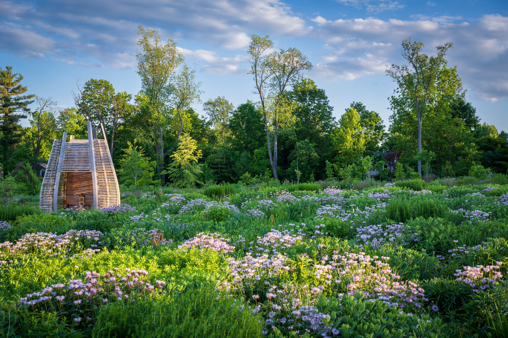 How to create an ecologically responsible garden thats also beautiful