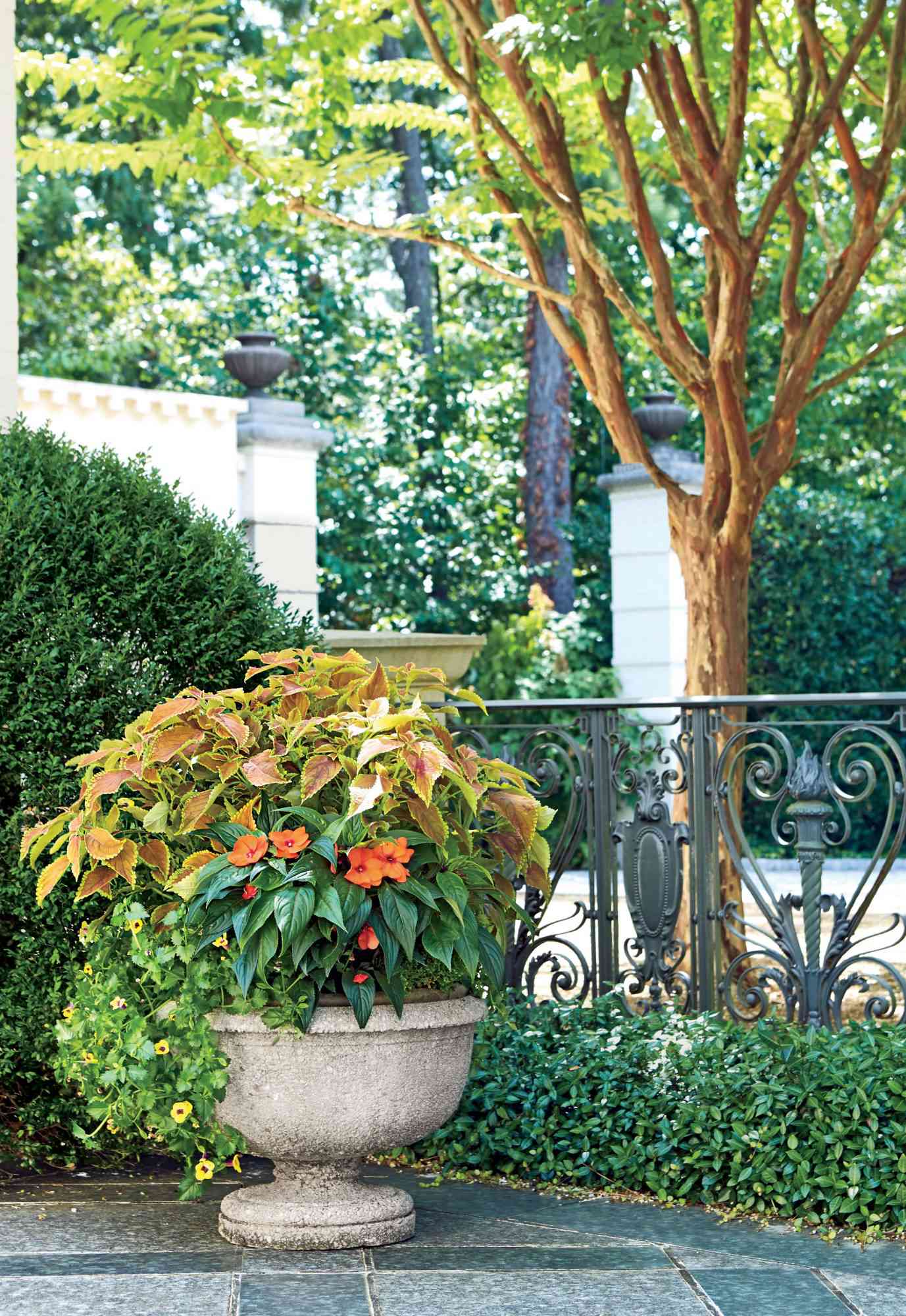 Of our best container gardening ideas