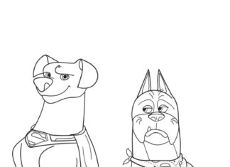 Dc league of super