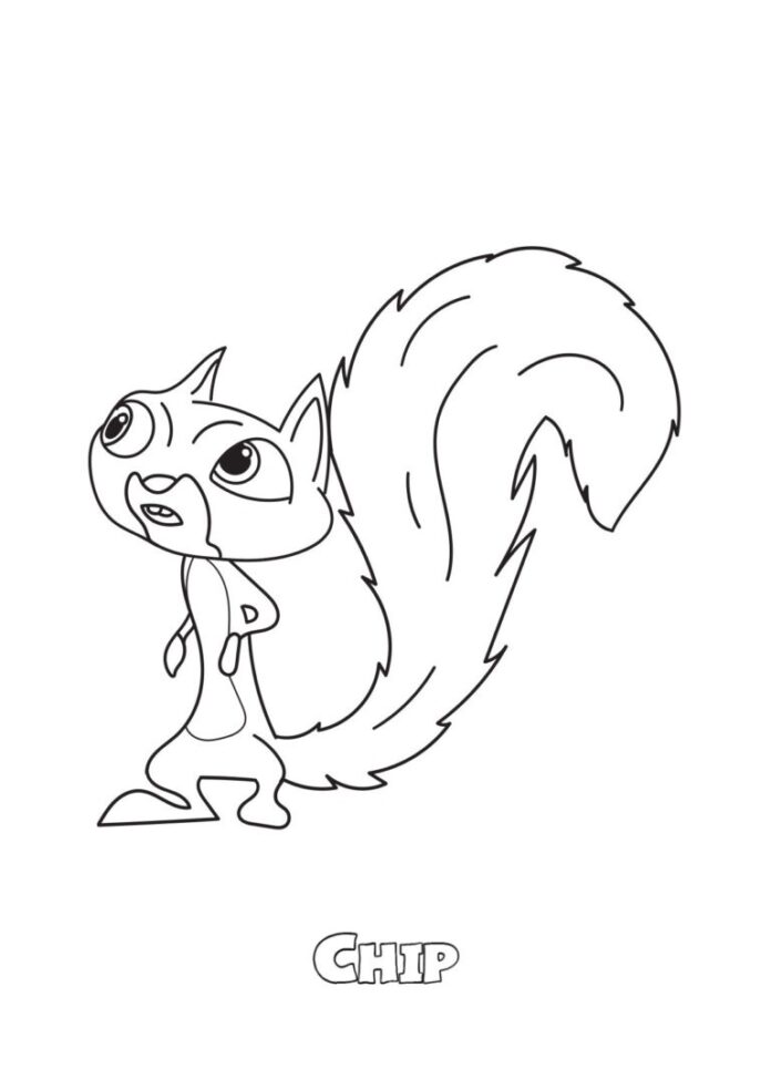 Chip coloring book from dc league of super