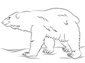 Coloring pages on