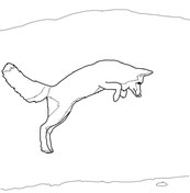 Arctic fox coloring pages free coloring pages
