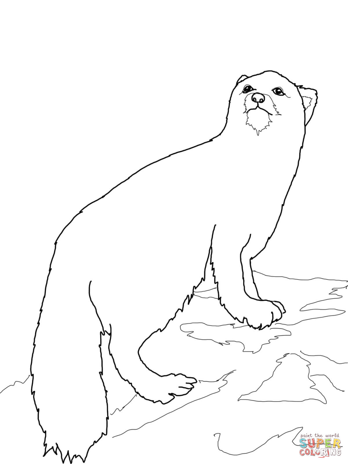 Arctic fox coloring page free printable coloring pages