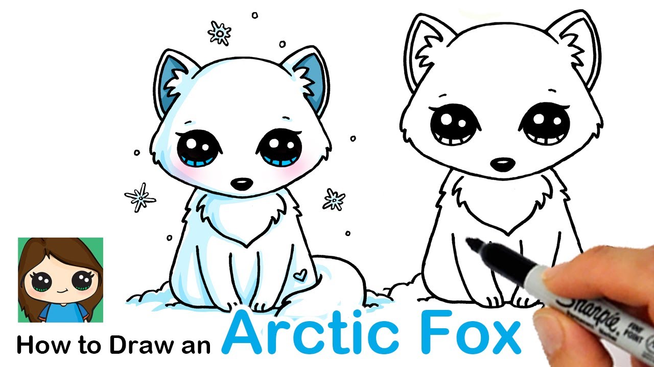 How to draw an arctic fox easy