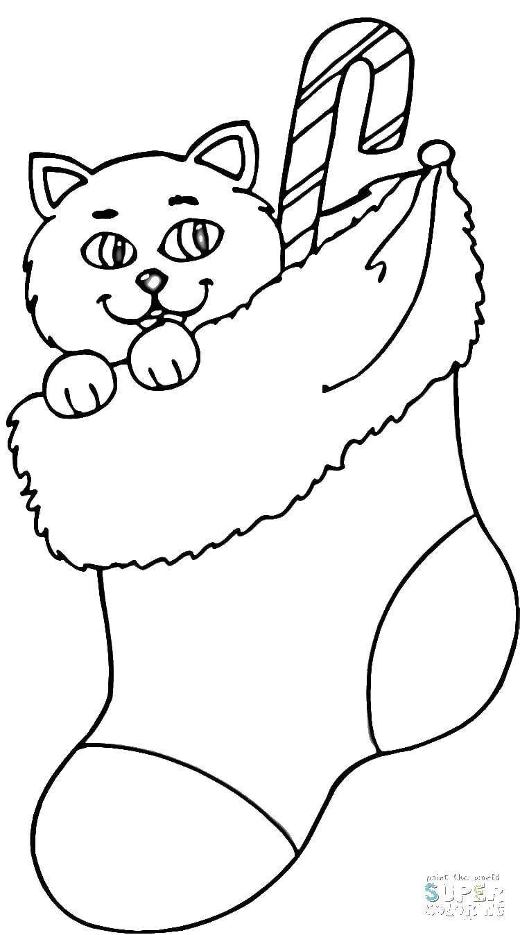Online coloring pages coloring page kitten in a sock christmas download print coloring page