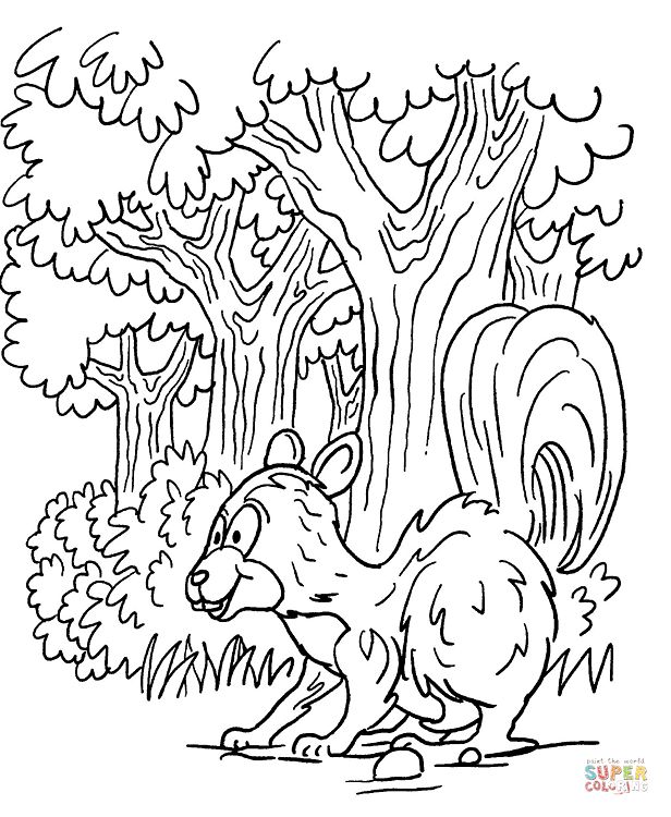 Skunk in forest coloring page free printable coloring pages coloring pages animal coloring pages forest coloring pages