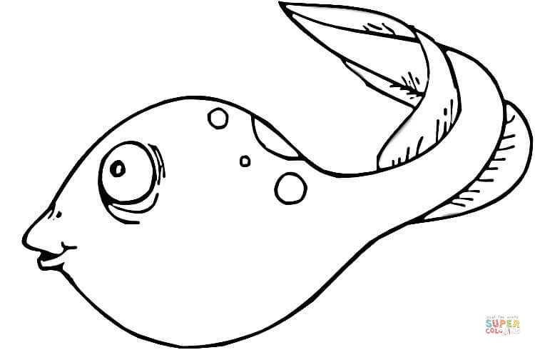 Tadpole coloring page free printable coloring pages