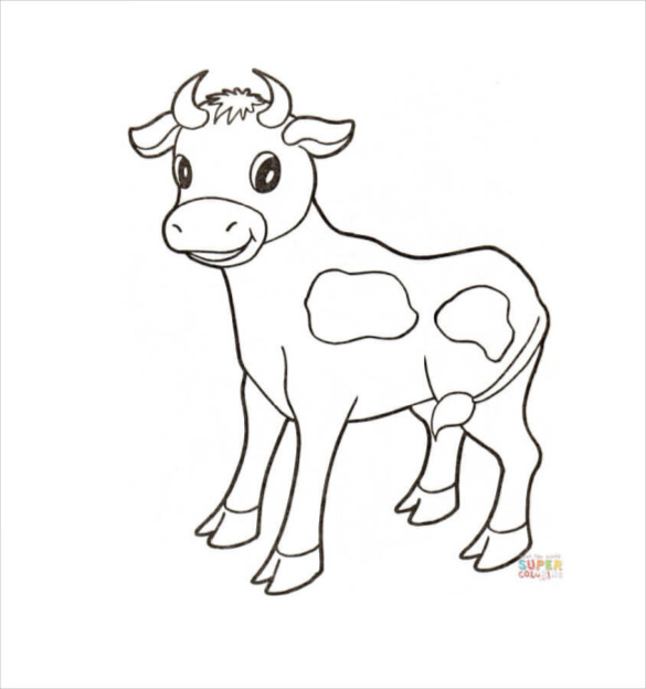 Baby animal s