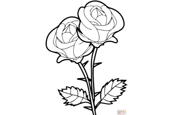I will draw colouring book for your little kids for freelancer aamir shahzad aamirshahzad â