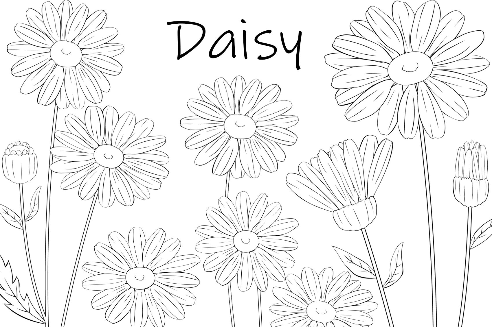 Daisy flower graphics daisy line daisy svg daisy coloring by irinashishkova