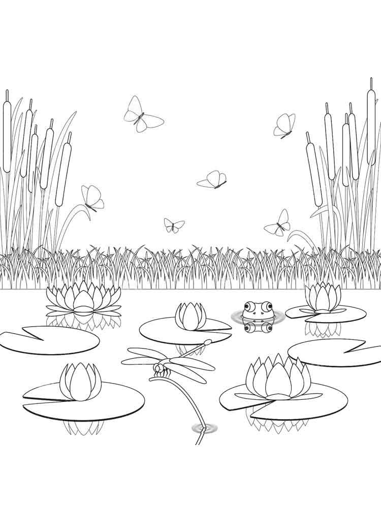 Swamp coloring pages coloring pages coloring pages to print printable coloring pages