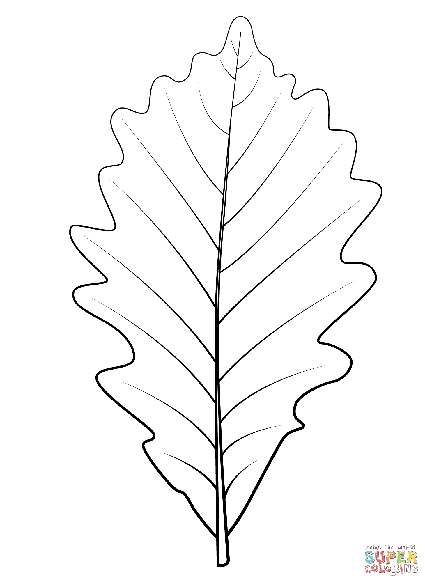 Swamp white oak leaf coloring page free printable coloring pages