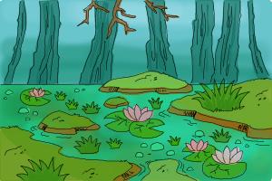 How to draw a swamp