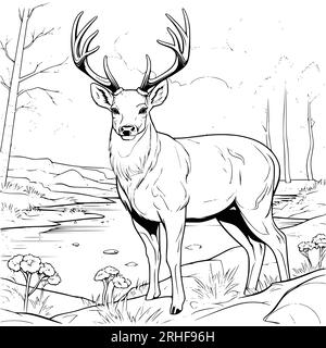 Big deer on the river bank coloring page drawing for kids stock vector image art