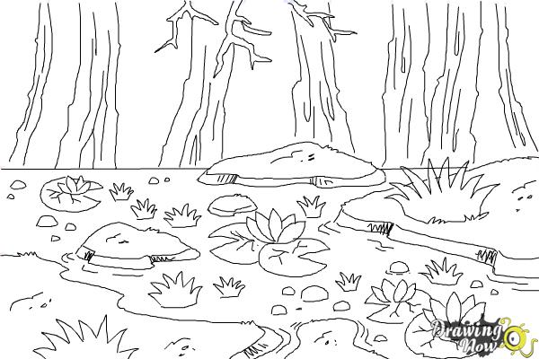 How to draw a swamp