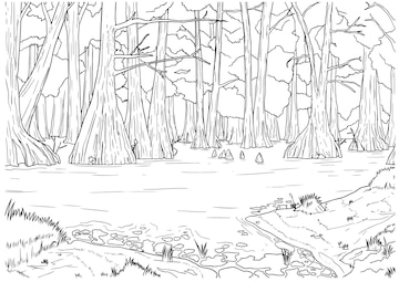 Premium vector vector hand drawn tree dwellers in swamp outline illustration