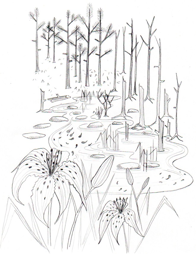 The far swamp â ann wood handmade
