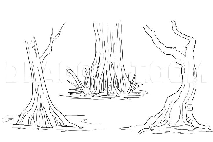 How to draw a swamp draw swamps step by step drawing guide by papayapig dragoart forest drawing tree drawing drawings