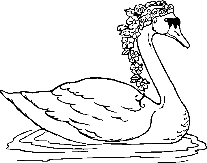Swan coloring pages