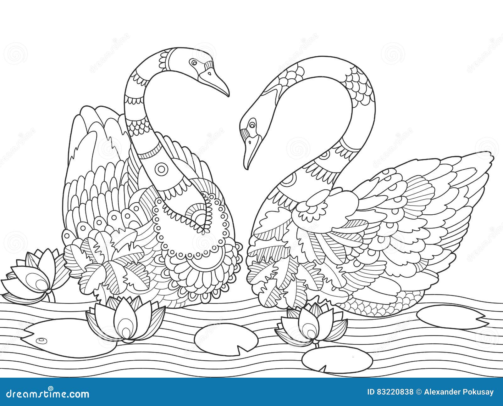 Swan coloring book for adults vector stock vector