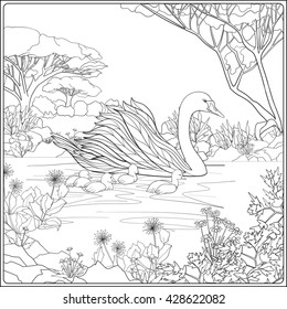 Swan coloring page images stock photos d objects vectors