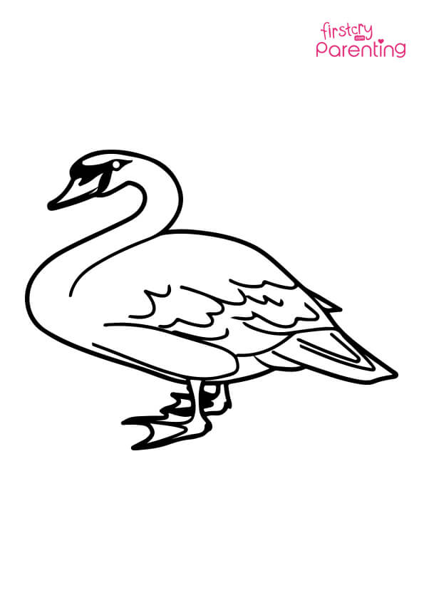 Mute swan coloring page for kids