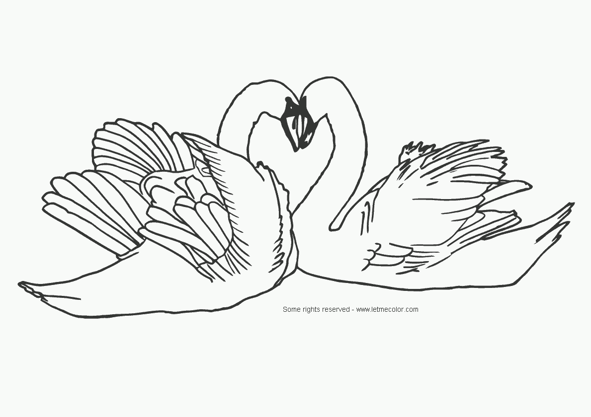Heartshaped swans coloring page