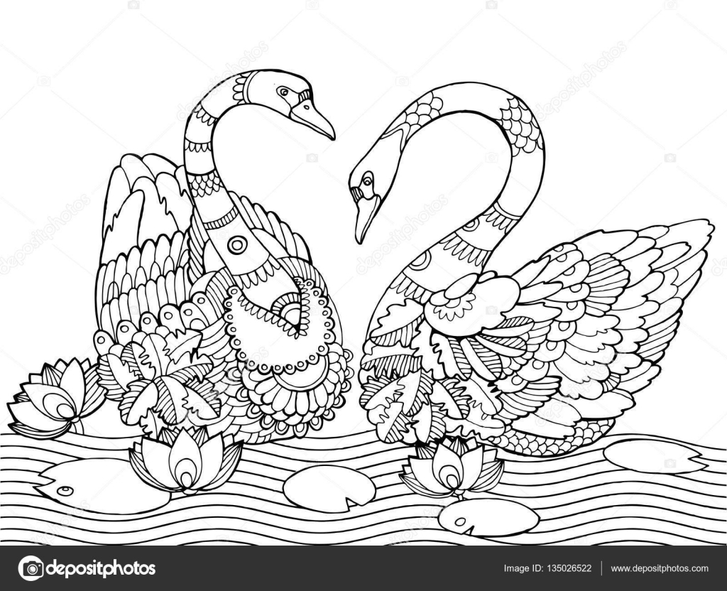 Swan coloring book for adults vector stock vector by alexanderpokusay