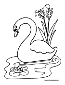 Swan coloring pages